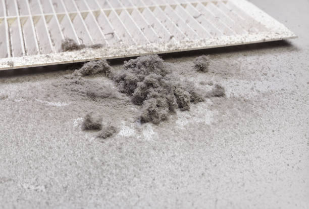 Best Professional Duct Cleaning Services  in Gardnerville, NV