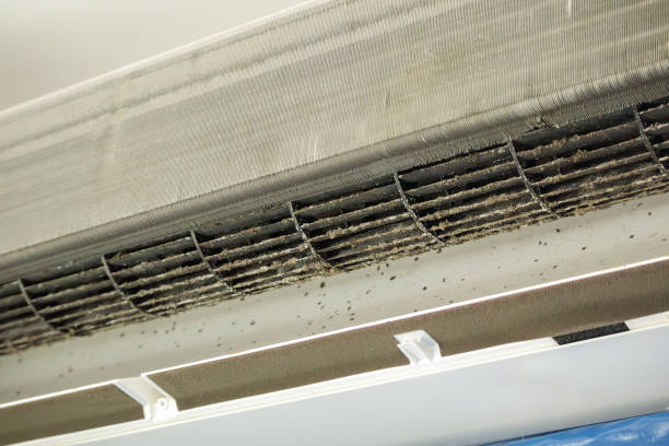 Best Residential Air Duct Cleaning  in Gardnerville, NV