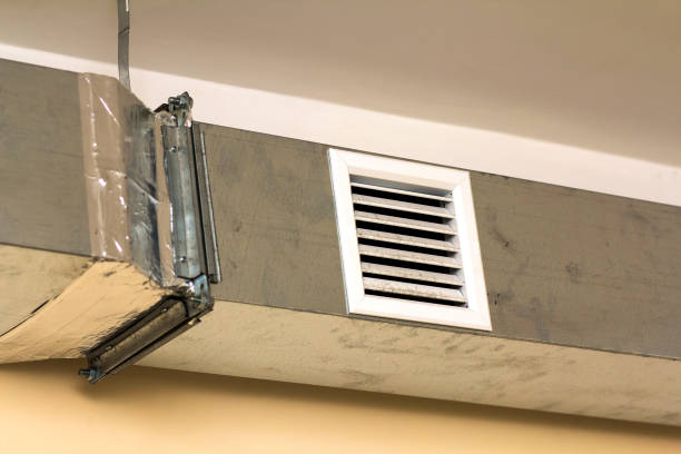 Best Dryer Vent Cleaning Services  in Gardnerville, NV